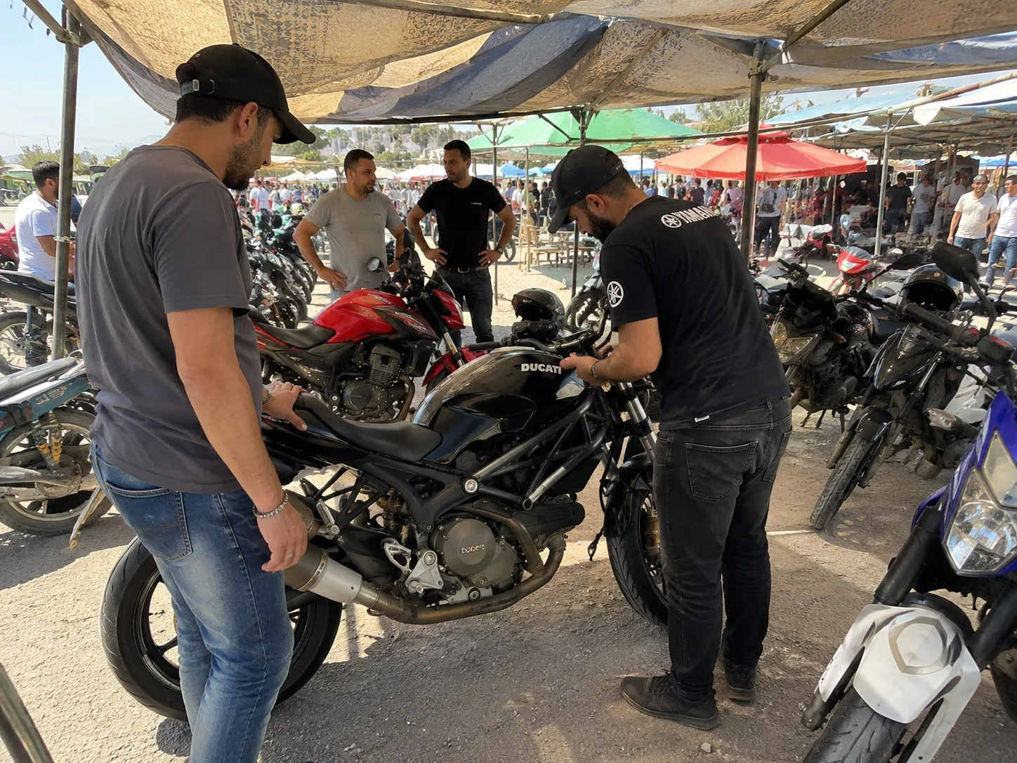 شراء دراجة مستعملة في تونس