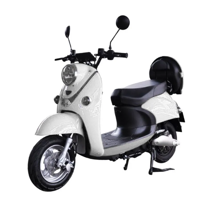 E-Rider E-ECO 1000W
